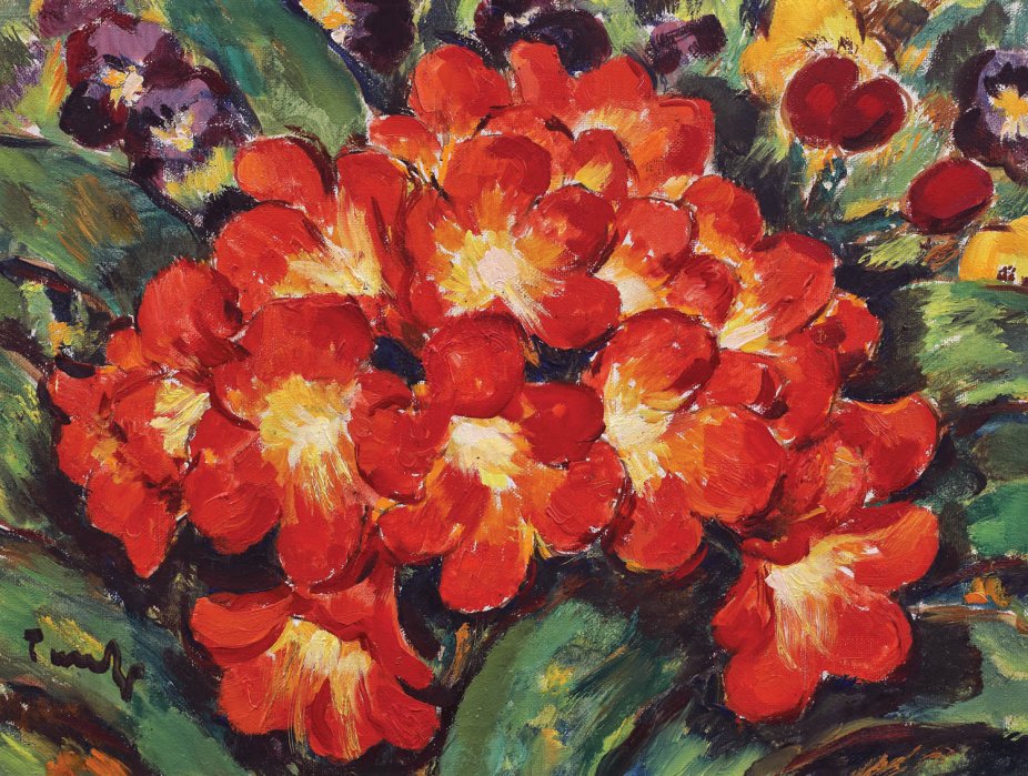 Istoria grădinăritului florilor în România: de la tradiție la artă